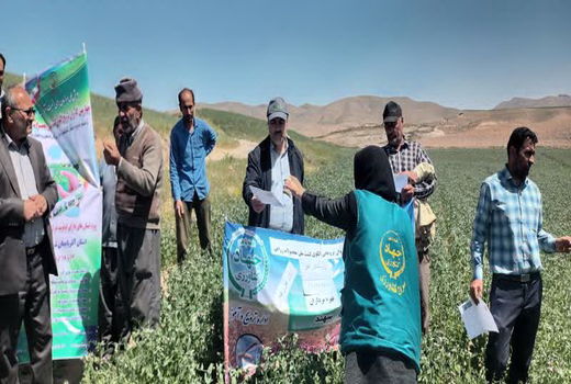 برگزاری آموزش های ترویجی برای 400 نفر روز در شهرستان مراغه 