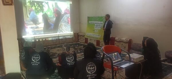 توانمندسازی اعضای صندوق خرد زنان روستایی دزفول