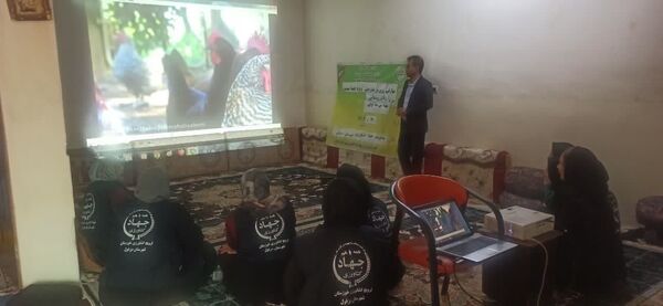 توانمندسازی اعضای صندوق خرد زنان روستایی دزفول