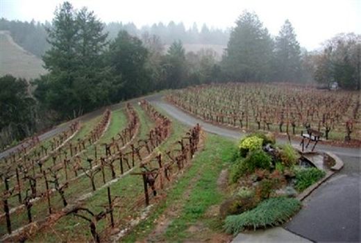 تبدیل دیمزارهای خراسان شمالی به باغ نگران‌کننده است