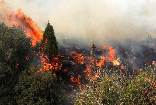 مهار آتش در گلستان 