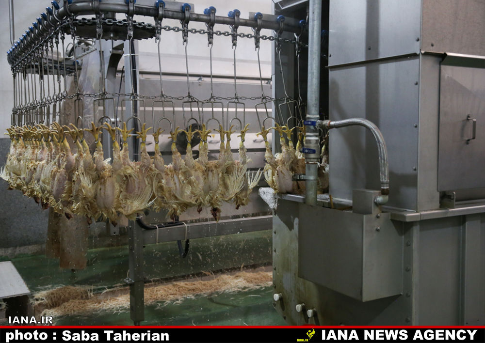 وزیر در اصفهان