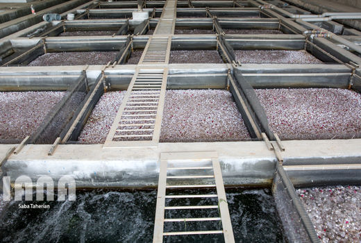 پرورش ماهی خاویاری با 25 لیتر آب