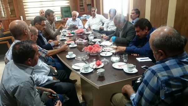 پیش بینی کشت کلزا در 400 هکتار از مزارع شهرستان تهران