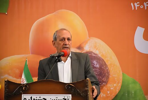 اختصاص رتبه نخست تولید زردآلو در کشور به استان آذربایجان شرقی