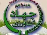 خرید آنلاین کالاهای اساسی در استان کرمان 