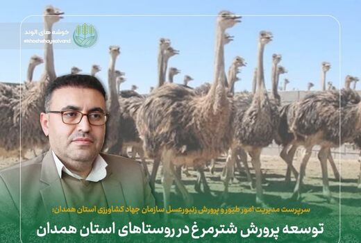 توسعه پرورش شترمرغ در روستاهای استان همدان