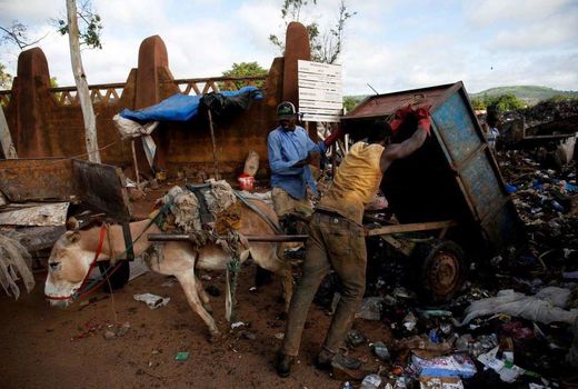 جمع‌آوری زباله با الاغ‎ 
