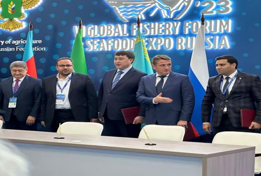 تمدید ممنوعیت صید تجاری ماهیان خاویاری تا پایال سال ۲۰۲۴ میلادی