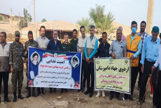 سم‌پاشی بیش از 5 هزار رأس دام سبک و سنگین علیه انگل‌های خارجی