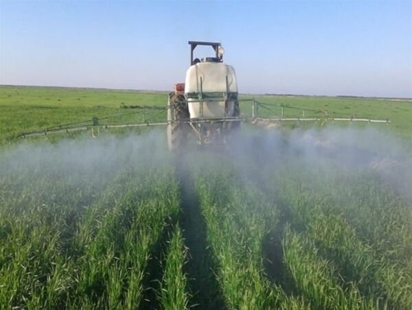 مبارزه شیمیایی در سطح ۲۴۷ هزار هکتار از اراضی کشاورزی آذربایجان‌غربی اجرا شد