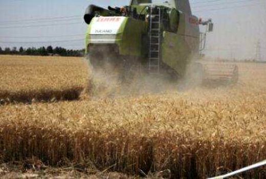 درخشش کشاورزان نظر آبادی در سال رونق تولید