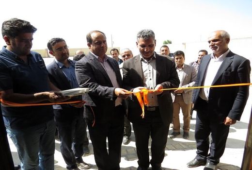 استان یزد با ۴۰۰ مرکز، رتبه نخست پرورش اسب عرب کشور را دارد