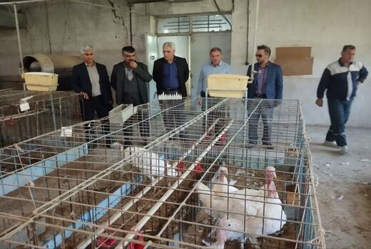  ایستگاه تاتار به مجتمع آموزشی و تحقیقاتی جامع کشاورزی تبدیل می‌شود