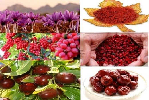 جذب گردشگر به خراسان‌جنوبی با ظرفیت محصولات استراتژیک
