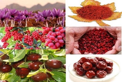 جذب گردشگر به خراسان‌جنوبی با ظرفیت محصولات استراتژیک