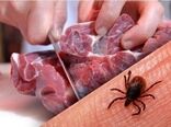 راهکارهای حفاظتی برای مقابله با شیوع تب کریمه کنگو