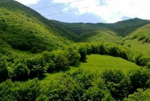 آماده باش کامل نیروهای گشت و مراقبت حفاظتی و جنگلبانان در تعطیلات نوروزی سراسر کشور