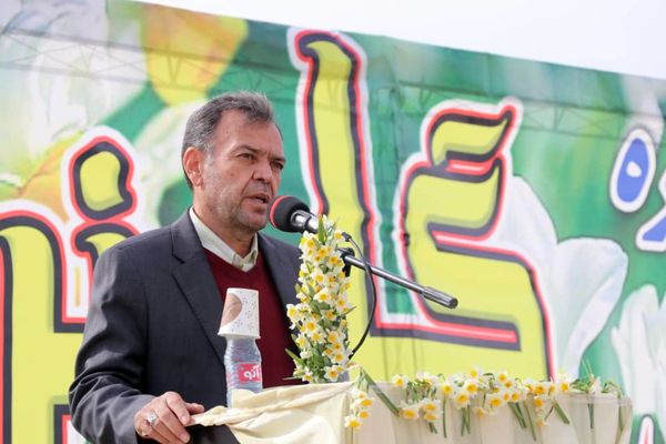 زنجیره ارزش گل نرگس در خفر کلید خواهد خورد