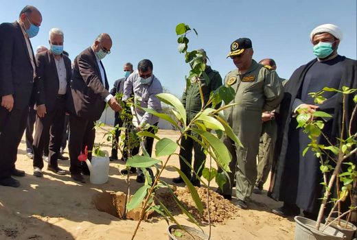  برگزاری آیین درختکاری در هرمزگان