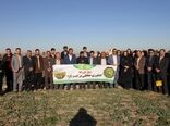 کشاورزی حفاظتی عامل پایداری خاک