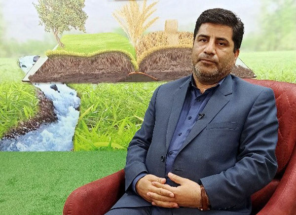 افزایش قیمت خرید تضمینی کلزا به۳۰ هزار تومان