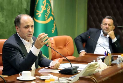  باور عمیق من سپردن امور به بخش خصوصی است/ اقتصاد پویا و سالم بر این روش تاکید دارد