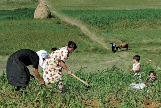 آینده کشاورزی آلبانی در دست زنان