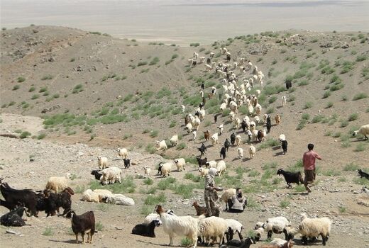 ارائه خدمات به عشایر  از ابتدای آبان ماه فقط با ارائه کارت تردد امکان پذیر می باشد.