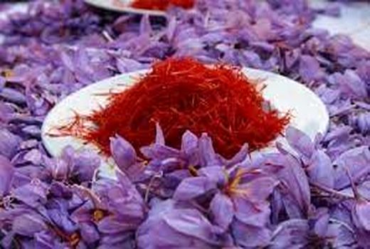 زمینه صادرات زعفران و انگور خراسان شمالی به بنگلادش فراهم شد