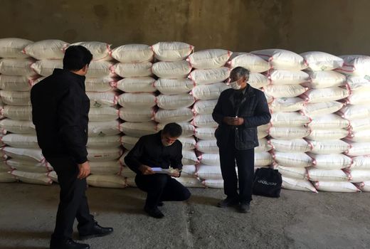 توزیع ۷۶۳.۵ تن انواع نهاده‌های کشاورزی در سال جاری زراعی در شهرستان ایلام