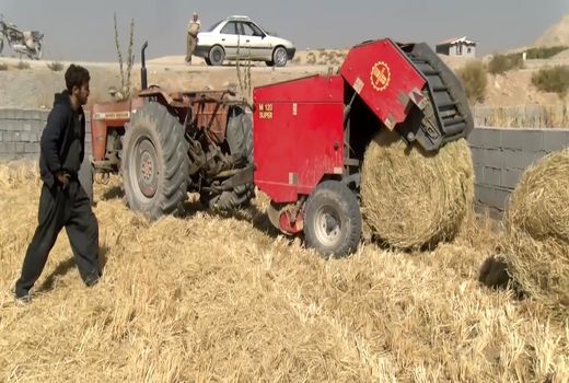 کاهش 40 درصدی آتش زدن کاه و کلش در فلاورجان