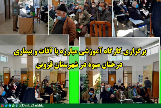  کارگاه آموزشی مبارزه با آفات و بیماری‌های درختان میوه در شهرستان قزوین