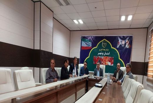 رفع تداخل از ۱۴۸ هزار هکتار از اراضی کشاورزی در استان بوشهر 