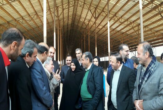 استاندار قزوین از مراحل اجرایی بزرگترین مرکز پرورش گوسفند کشور در بویئن زهرا بازدید کرد 