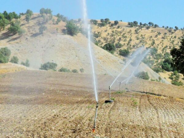 بیش از ۳۵۳ میلیارد ریال تسهیلات به کشاروزان بیجاری پرداخت شد