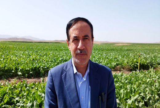 50 درصد پروژه های اجرایی وزارت جهاد کشاورزی در حوزه زیر بنایی است