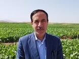 50 درصد پروژه های اجرایی وزارت جهاد کشاورزی در حوزه زیر بنایی است