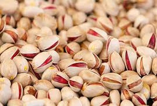 روسیه و امارات بزرگترین خریداران طلای سبز ایران