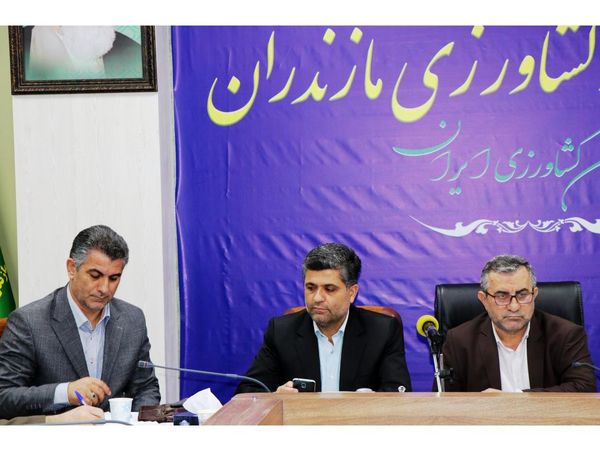 مازندران پیشگام در تولید و تامین گوشت مرغ است