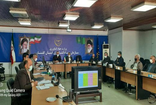 برگزاری ششمین جلسه ستاد گیاهپزشکی و پایش محصولات زراعی و باغی استان گلستان