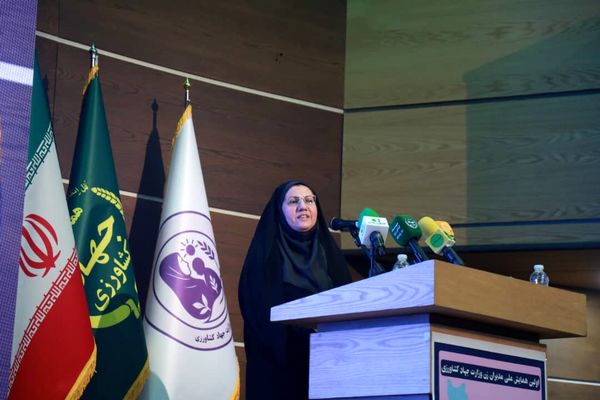 فناوری اطلاعات کلید توسعه پایدار روستاها است