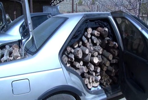 دستگیری قاچاقچیان چوب در لردگان