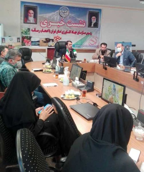 عرضه دوبرابری مرغ در استان تهران بازار را به آرامش میرساند