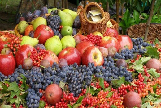 تراز تجاری چشم‌نواز بخش باغبانی ایران در سال‌های 97 و 98