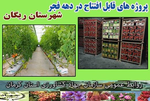 در ایام ا... دهه مبارک فجر دو طرح کشاورزی و صنایع تبدیلی در شهرستان ریگان به بهره‌برداری می‌رسد