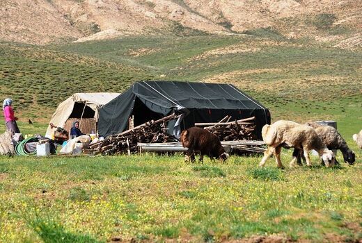 ۲۲۲ طرح تولیدی در حوزه عشایری قزوین موفق به دریافت تسهیلات شدند