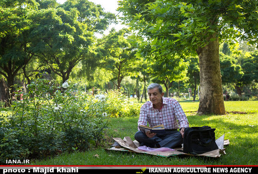 استراحت در فضای سبز شهری