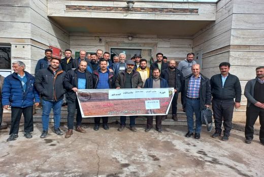 بهره برداران شهرستان قزوین با کشت گیاهان سازگار با کم آبی آشنا شدند