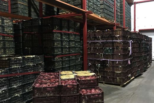 پیش بینی ذخیره سازی 120 هزار تن سیب در سردخانه های شهرستان مراغه 